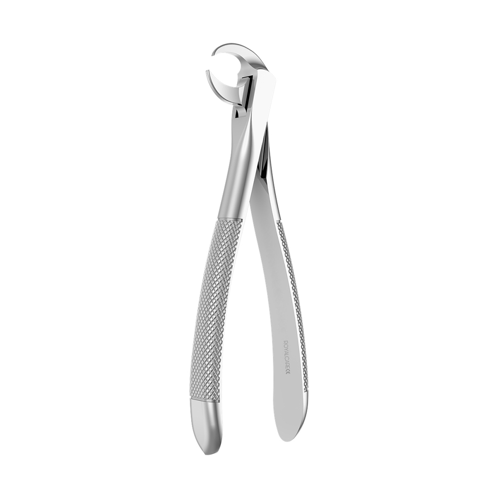 Extracting Forcep Extracting Forcep